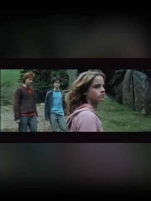 A post by @harrypotter_sounds on TikTok caption: #harrypotter #prisonerofazkaban #hermionegranger #ronweasley #dracomalfoy #crab #goyle #hp3