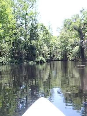 A post by @kirby_5 on TikTok caption: #oldflorida #nature #kayaking