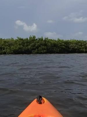 A post by @kirby_5 on TikTok caption: #kayaking #mangrovetrails #paradise #ocean