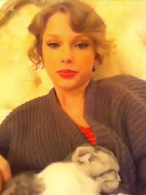 A post by @tåŷlorswift on TikTok caption: This is from last night I love her to much 💞😂 #foryoupage #foru #taylorswift #cat #loveyouall