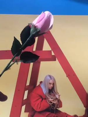 A post by @aestheticc.collabb on TikTok caption: im in love. #aesthetic #billieeilish #foryou