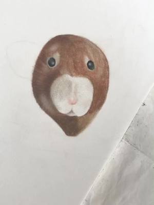 A post by @mariannestage on TikTok caption: Just sitting and drawing, when I notice this dot on the paper 😢😢 #drawing #rat #art #foryou