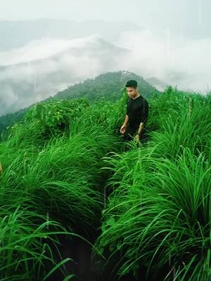 A post by @jishnumlt7 on TikTok caption: പടച്ചോൻ ഒരു സംഭവമാണ് #palakkayamthattu #kaioppu #parippuvad_kattankappi_nellikka #kaioppu_family