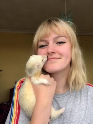 A post by @bigstinkz on TikTok caption: Dancing with Stretch everyday until I have to leave her #ferret #fyp