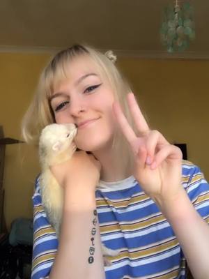 A post by @bigstinkz on TikTok caption: Day 2 of dancing with Stretch until I have to leave her (cause the suitcase n the mess) #ferret