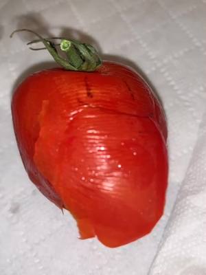 A post by @food.hospital1 on TikTok caption: Taffy tomato and her kid, thomas tomato are not doing so good! Get this on the #foryou