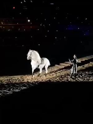 A post by @aerialequestrian on TikTok caption: #foryoupagе