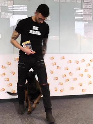 A post by @petricoresys on TikTok caption: Mit unserem Chef hat Kurosh letztens auch getanzt, das Video dazu gibt's bald :'D #goodboy #hund #dance #hundetricks #dancemonkey