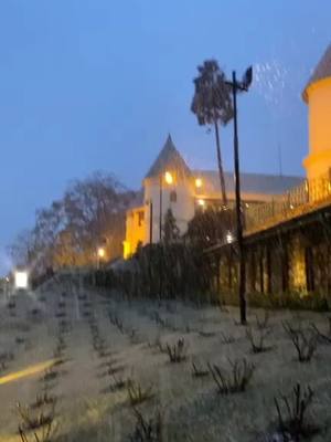 A post by @beingsnehaaa on TikTok caption: it's snowing 😻 #foryoupage #fyp #snow #snowfall #mussoorie #uttarakhand