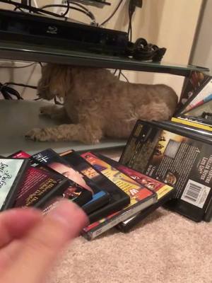 A post by @hellosnuffles on TikTok caption: Snuffles knocks over the DVDs, “it ain’t me” #puppy #cute #tiktokpartner