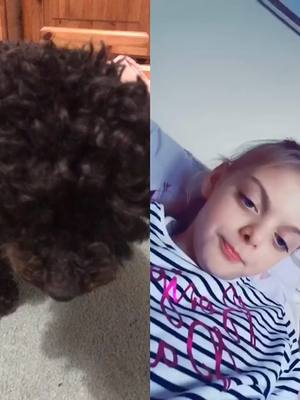 A post by @darcy_doo_dog on TikTok caption: @amberpants134 thank you for supporting us💗