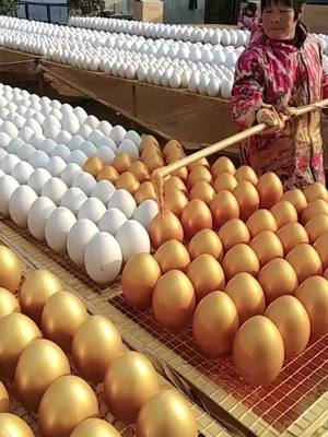 A post by @satisfyheart on TikTok caption: Would you prefer a normal or a golden egg 😍 #satisfying #foryou