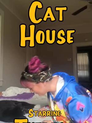 A post by @theresa_holly on TikTok caption: Where are all my cat lovers at?