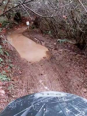 A post by @misti.lybbert on TikTok caption: Muddy, Walker Valley. #PNW #washington #walkervalley Girl's ride too