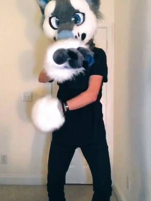 A post by @rexthefur on TikTok caption: @silverwuff would be proud 😂 #furry #furryfandom #furrywar #furrypride #fyp #foryou #foryoupage