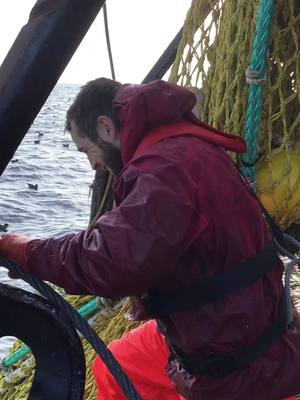 A post by @derrickjustice7 on TikTok caption: #welovepizza cod-end run #fishermen #beringsea #alaskacod