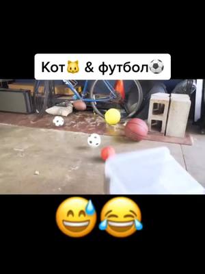 A post by @piano_rol on TikTok caption: #кот#футбол#игра#рекомендации#топчик#видос ⚽️🐱