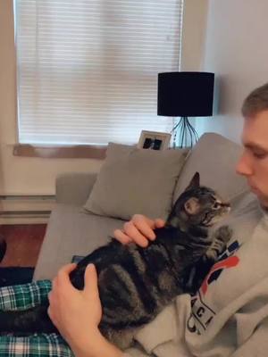 A post by @emilykatherineann on TikTok caption: My cats obsessed with my hubby 🤣#icantakeyourman #cats #catsoftiktok #icantakeyaman