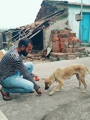 A post by @localkingkalam199 on TikTok caption: #SwagStepChallenge #flauntityourway #कोल्हापुरकरmh09 #1millionaudition #घुणकी #जयभिम_जयशिवराय_जयलहुजी