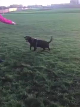 A post by @henrythesprocker on TikTok caption: We goin’ out tonight🤯 {#helsa- #onlyelsa- #jump-#oldvid-#sprocker)