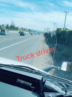 A post by @gurisingh725 on TikTok caption: #punjabitruckdriver @tiktok_india @harrylg @kaludoabia