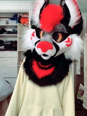 A post by @artemisflame on TikTok caption: I’m a sucker for slo now 😖🤫 #furry #fursuit #furryfandom #fursuitmaker #foryou #fyp #MakeTheLeap