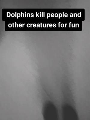 A post by @_disturbing_facts on TikTok caption: Answer the question at the end in the comments. Duet this for a follow back!