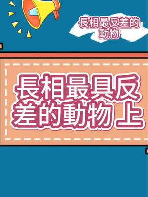 A post by @jackywang466 on TikTok caption: //長相最反差的動物 @那些名字與長相有落差的動物你認識幾個呢？