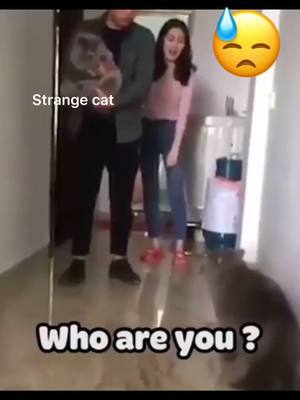 A post by @mialilianna8 on TikTok caption: #whoareyou What do you say?who are you?  Why!!! 🤠😄😄😄