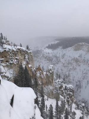 A post by @jranzz on TikTok caption: Grand Canyon of Yellowstone. #travelbucketlist #wintertime #canyon #yellowstone #wyoming #goplayoutside #gooutside #snowday #majestic #mothernature