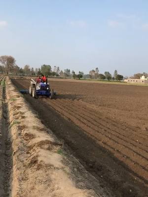 A post by @pb08__wale_ on TikTok caption: #farmtrack6055 #sannjatt #jattlife #zimidarjatt #pb08wale #farmtrac #lover #💪💪🚜🚜