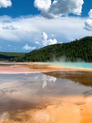 A post by @kaitlynvryan on TikTok caption: Yellowstone #fyp #foryourpage