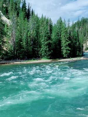 A post by @kaitlynvryan on TikTok caption: Grand Canyon of Yellowstone #fyp #foryourpage