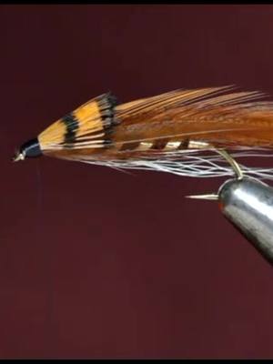 A post by @newenglandstreamers on TikTok caption: The Golden Head Streamer. #scatman #flytying #baseketball #strengthtraining #turnit #flyfishing #troutfly #salmonfly #howitsmade #bored #fyp #fishing