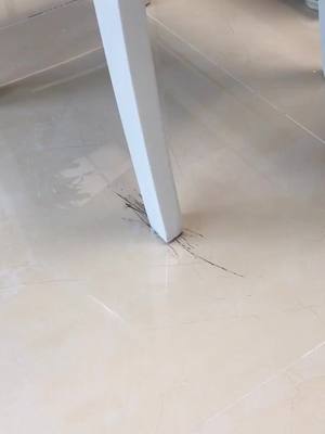 A post by @bilibily_life on TikTok caption: Do the tiles in your house have scratches ？