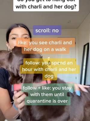 A post by @charlidlovesdunkin on TikTok caption: what happened? #foryou #foryoupage #fyp #forupage #coronavirus #corona #quarantinelife #quarantine #charlidamelio @dameliodogpack #fypage #fypg