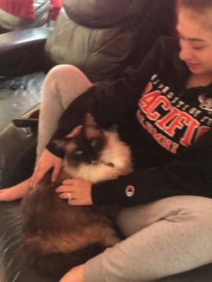 A post by @kcyntelb on TikTok caption: My cat hates me. #fyp