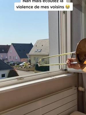 A post by @charlesdevx on TikTok caption: La réaction de mes voisins 😱😂 A 50k Likes je joue le thème de Mario pour mes voisins adorés 😂🔥 #confinement #trombone #viral #voisins #fyp