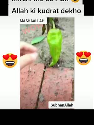 A post by @rizwan.mj.malik on TikTok caption: #bigbillionstar #HandWashChallenge #fypシ #tiktokindia #trending #fyp #foryourpage #foryou #foyoupege ##tiktok #foryoupage #foyoupage #viralvideo