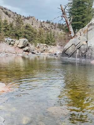 A post by @sammdlt1 on TikTok caption: Colorado check 💗 #godscountry #coloradocheck #flyfish #girlswhofish #poudre