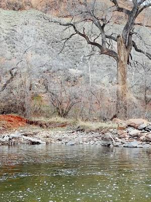 A post by @sammdlt1 on TikTok caption: Another day, another fly fishing spot! #coloradocheck #colorado #flyfishing #fish #girlswhofish #downtofish #fyp #viewsfordays