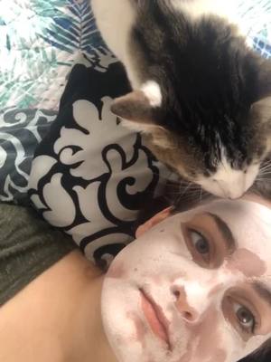 A post by @just_a_couple_cat_moms on TikTok caption: Lonely who? #CarlosandLucia #stayingathome #furryroommates #OwnTheCurve #leavingmybody