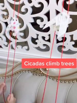 A post by @origamixxx on TikTok caption: Cicadas climb trees😁play with your family#DIY #craft #fyp #funny #tutorial #easydiy #creative #quarantine #family