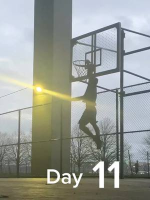 A post by @kevincharlesoc on TikTok caption: progress update on operation: 32 year-old guy dunks for the first time #hoopsathome #improvement #fyp