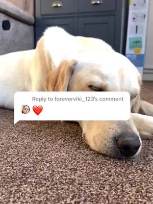 A post by @woodyadog on TikTok caption: Reply to @foreverviki_123