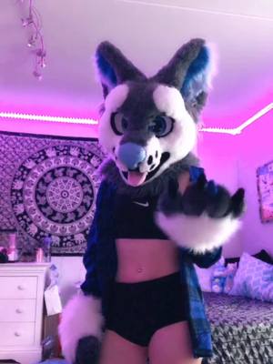 A post by @rexthefur on TikTok caption: What’s Poppin... 🥴 #furry #furryfandom #furrypride #fyp #foryou #foryoupage