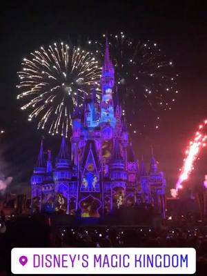 A post by @dimka_plov on TikTok caption: #disneyworld