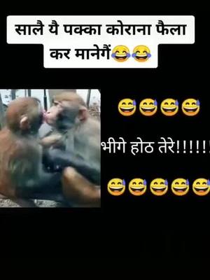 A post by @harishsagar02 on TikTok caption: #himanshu_sagar01 #foryou #funnyvideos #tiktokcomedy #comedyindia