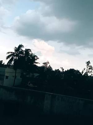 A post by @thotachinni on TikTok caption: ##rainyday #chinni