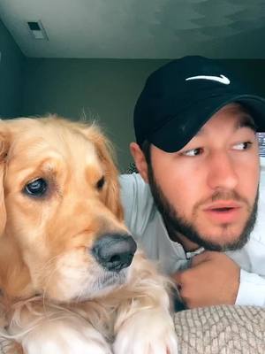 A post by @benny_thegolden on TikTok caption: Day 45 of quarantine trying to teach dad how to dog. #quarantine #doglife #puppy #fyp #foryou #goldensoftiktok #bark #ruff